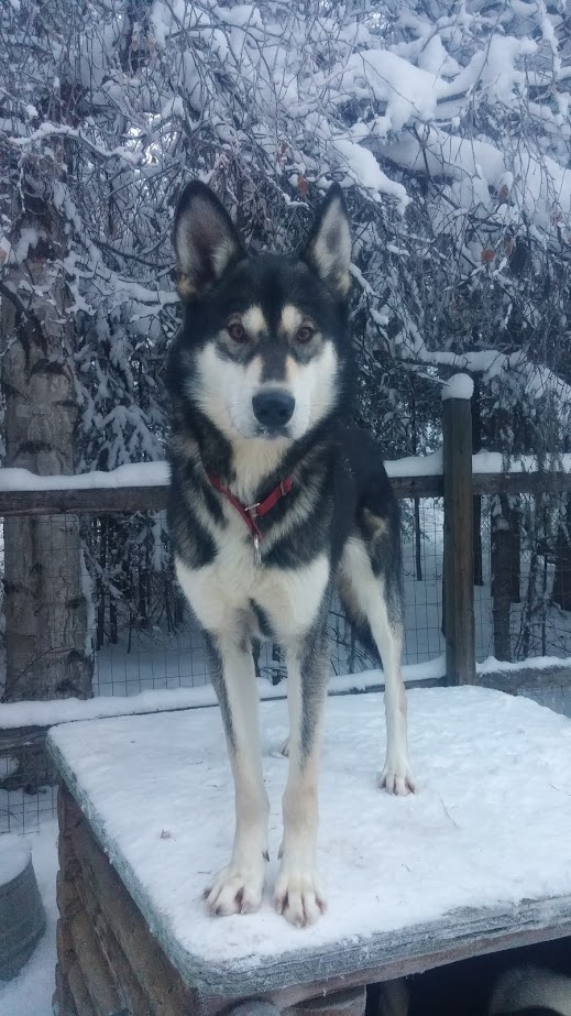 chunky-in-all-his-glory